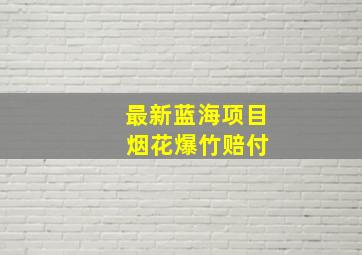 最新蓝海项目 烟花爆竹赔付